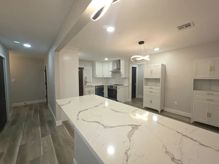 Contemporary Full Home Remodel