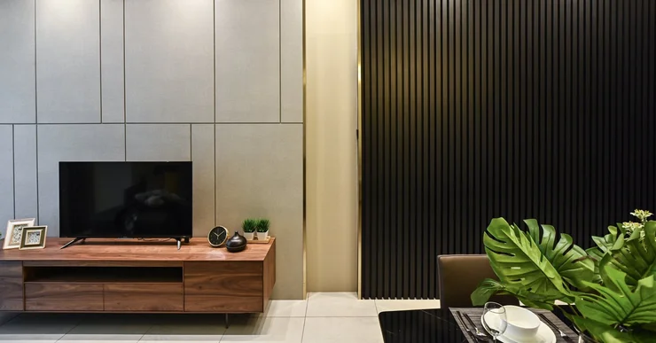 Full Apartment Interior Renovatio