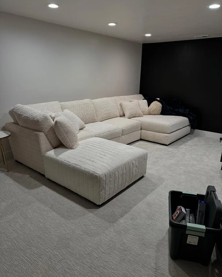 Modern Basement Transformation