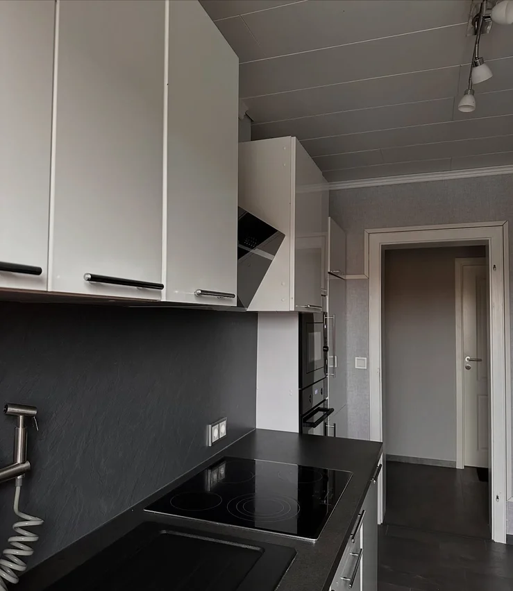 Modern Apartment Renovation