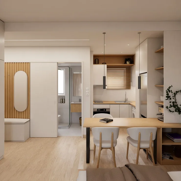 Modern Apartments Transformation