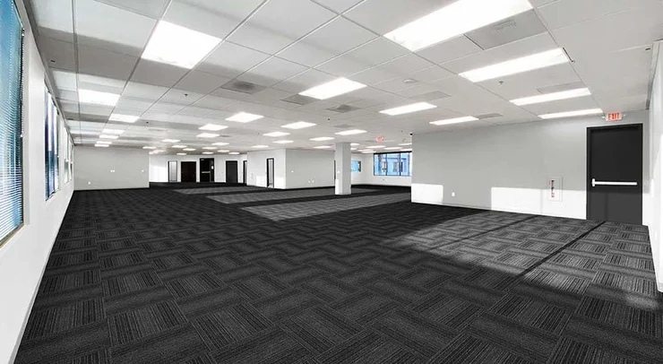 Modern Commercial Office Renovation